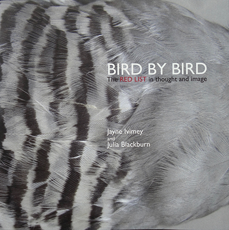 Bird by Bird