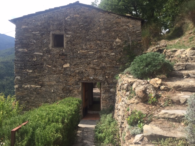 Thin Paths house