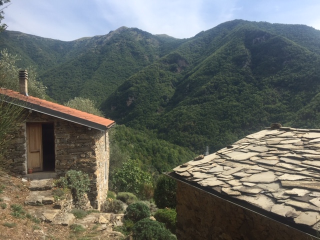 Thin Paths house